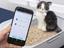 【生活雑貨】猫のトイレもクラウド連携！ シャープがペット向けAIoT用品を開発