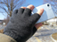 「USB指までヒーター手袋2」で冬のスマホ操作を快適に！