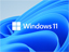 ÂȑDóuWindows 11vAAbvO[hvȂǂ߂ă`FbN