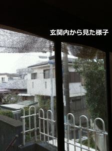 ֓猩lq