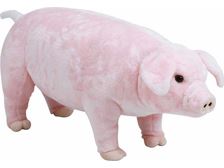 V̓p_̂قɁAu^EVN}CibvBCɓ̓QbgĂ݂ẮH 