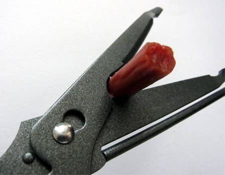 t̐nɂ͂ڂ݂̂ŁAڂAXpA\[Z[WȂǂ̊ۂ̂؂Ƃɕ֗ł