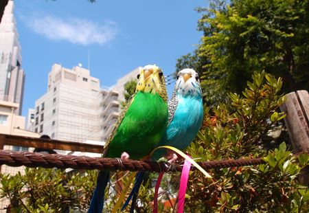 ビックリするほど本物そっくり！超リアルな「鳥のオブジェ」 - 価格.comマガジン