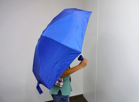 ȊO͕ʂ̐܂肽ݎPƕς܂