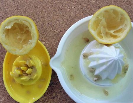 uڂvvAE]̂ڂł