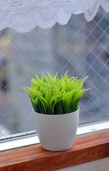  GRASS PEN STAND ϗtAy