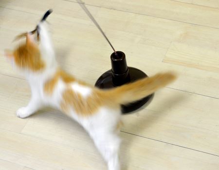 ǂI