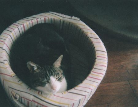 DIY 35mm Camera iLAST CAMERAj