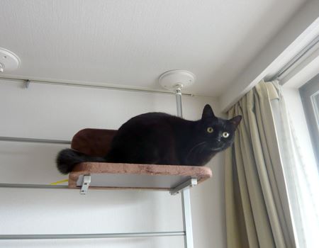 ォ猩鎊̓Xł