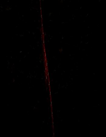 ڂ_utNV[v