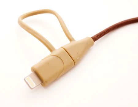 X}zɐڑ[qB܂LightningRlN^