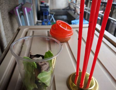 قǂƃoiiƃLxc̃p[on߂H