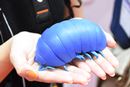 【閲覧注意】カプセルトイになった「だんごむし」を虫嫌い女子が手に載せてみた