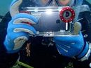 「iPhone用防水フォトハウジング」と石垣島の海に潜ってきた!