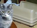 にゃんと猫用の洋式便器! 5段構造で臭いも砂飛びも全部ガード