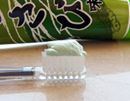 めっちゃ泣ける。わさびの歯磨き粉で刺激たっぷり歯磨きタイム