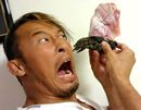 鰐を食べてみた! え、読めないって? ワニですよワニ!