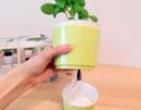 毎日の水やりから解放されるイタリア生まれのオシャレな植木鉢