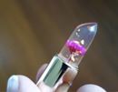 かわいすぎて注文殺到! お花が閉じ込められたリップクリーム