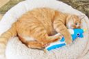 猫が本当に喜んだ! 傑作猫グッズ20選【猫を愛するすべての人へ】