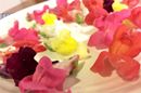 お花を“食べる”!? 話題の「エディブルフラワー」にうっとり