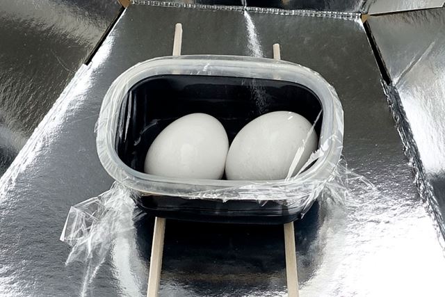 黒いビニールテープを貼ったタッパーに、少量の水（底から1cmくらい）と生卵を入れまして