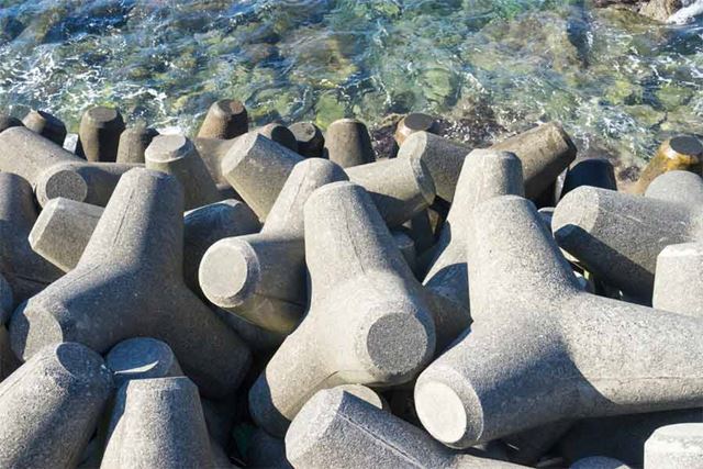 手のひらサイズのテトラポッド「テノリテトラ」がカワイすぎ♪