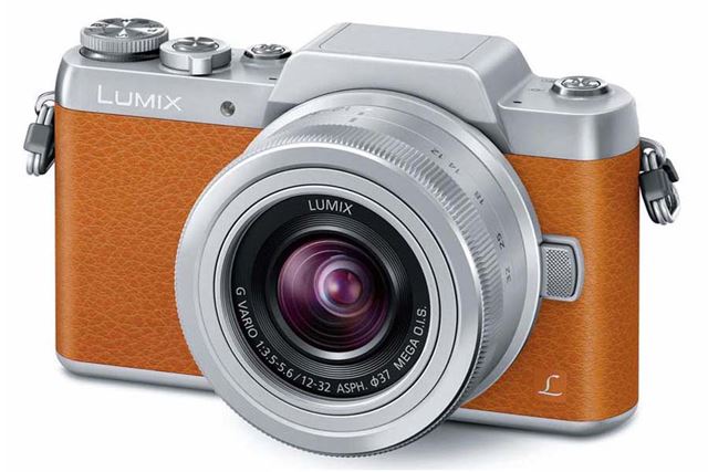 LUMIX GF7�ʥ֥饦���