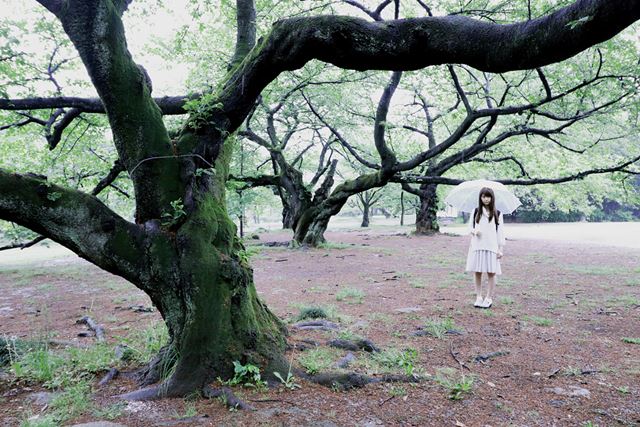 写真5 F5.6、1/80、ISO1600、レンズ「EF-S10-18mm F4.5-5.6 IS STM(17mm)」