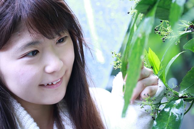 写真9 F3.2、1/80、ISO1250、レンズ「EF-S60mm F2.8 マクロUSM」