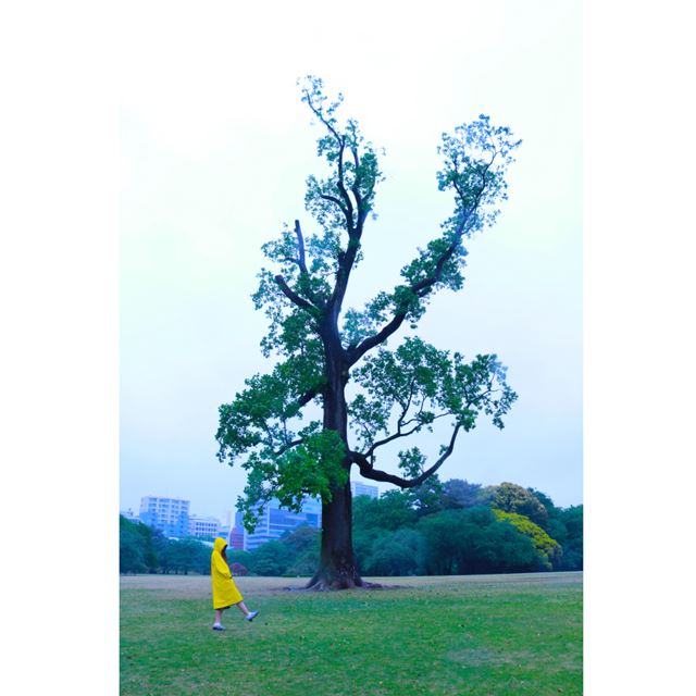 写真12 F10、1/100、ISO100、レンズ「EF-S18-55mm F3.5-5.6 IS STM(18mm)」