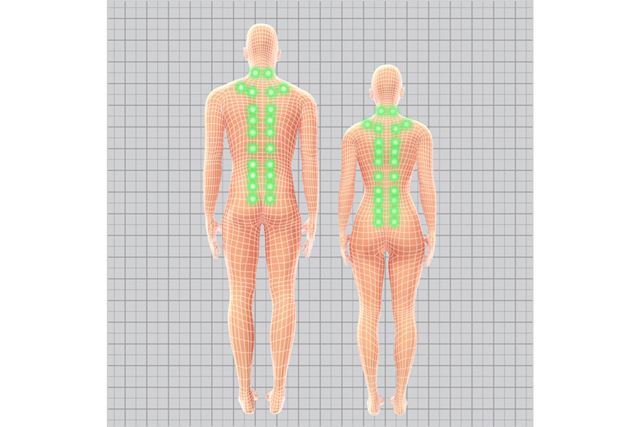 体形ごとに異なる指圧点を検索。症状に合わせて的確に刺激する